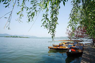 11周年更新后《泰拉瑞亚》有望加入跨平台联机功能